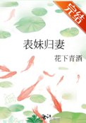 《表妹归妻》封面