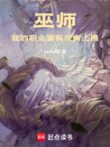 《巫师：我的职业面板没有上限》封面