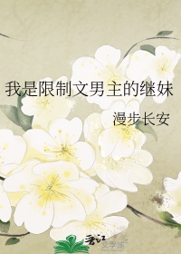 《我是限制文男主的继妹》封面