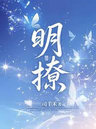 《明撩》封面