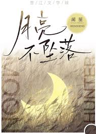 《月亮不坠落》封面