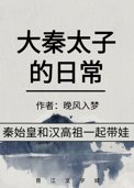 《大秦太子的日常》封面