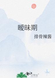 《暧昧期》封面