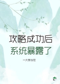 《攻略成功后，系统暴露了》封面