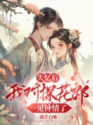 《失忆后我对探花郎一见钟情了》封面
