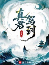 《真君驾到》封面