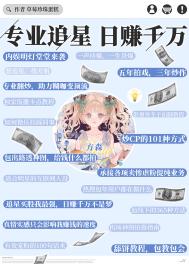 《专业追星，日赚千万》封面