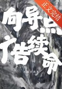 《向导点广告续命》封面