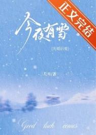 《今夜有雪[先婚后爱]》封面