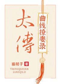 《太傅曲线撩妻录》封面