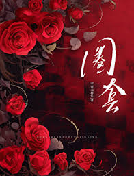 《圈套》封面