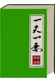 《一夫一妻》封面