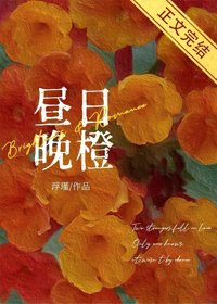 《昼日晚橙》封面