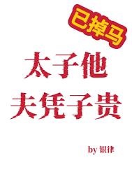 《太子他夫凭子贵》封面