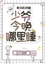 《少爷今晚哪里睡》封面