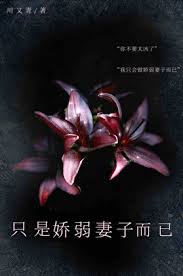 《只是娇弱妻子而已》封面