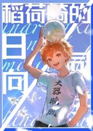《（排球少年同人）稻荷崎的日向同学》封面