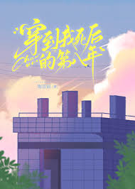 《夫人死后的第八年》封面