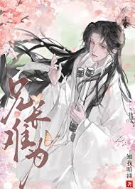 《兄长难为》封面