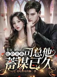 《危险关系，司总他蓄谋已久》封面