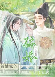 《首辅家的骗婚小夫郎》封面
