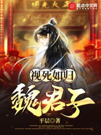 《视死如归魏君子》封面