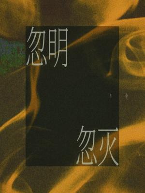 《忽明忽灭》封面