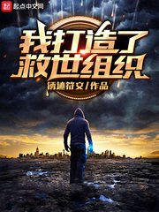 《我打造了救世组织》封面