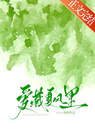 《爱藏夏风里》封面