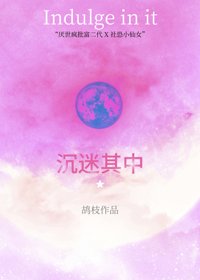 《沉迷其中》封面