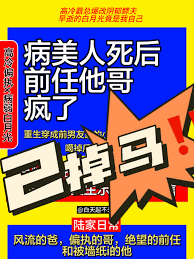 《病美人死后，前任他哥疯了》封面
