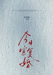 《今日宜复婚》封面
