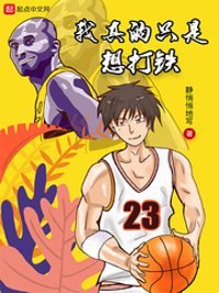 《我真的只是想打铁》封面