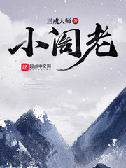 《小阁老》封面