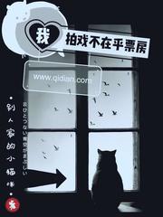 《我拍戏不在乎票房》封面