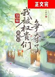 《进城后，我被权贵们争夺了》封面