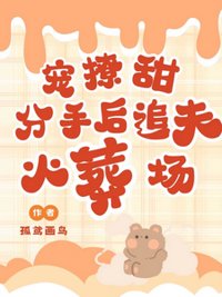 《宠！撩！甜！分手后追夫火葬场》封面