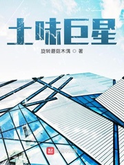 《土味巨星》封面