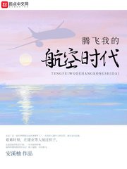 《腾飞我的航空时代》封面
