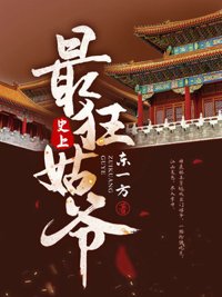 《史上最狂姑爷》封面