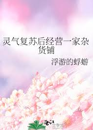 《灵气复苏后经营一家杂货铺》封面