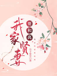 《我家爱妻要和离》封面