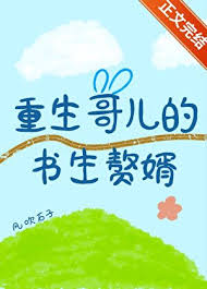 《重生哥儿的书生赘婿》封面