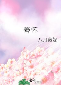 《善怀》封面