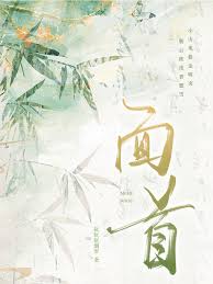 《面首是皇帝》封面