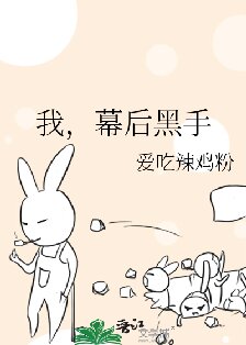 《我，幕后黑手》封面