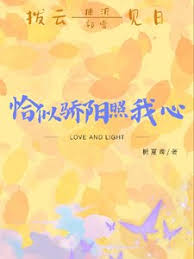 《恰似骄阳照我心》封面