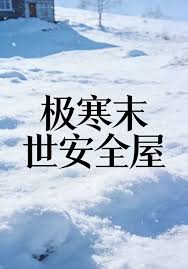 《极寒列车安全屋[囤货]》封面
