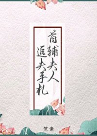 《首辅夫人追夫手札》封面