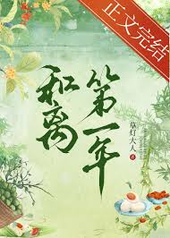 《和离第一年》封面